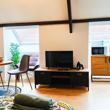 Appartement Le Perche - - Centre - Fac De Science *